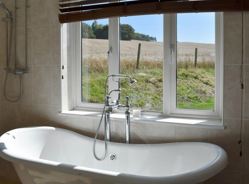 Attractive bathroom at Sunwood House in Ditcham, near Petersfield, Hampshire