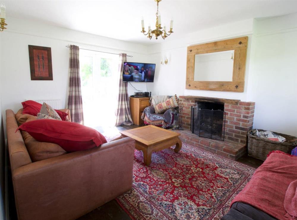 TV room with open fire at Sunwood House in Ditcham, near Petersfield, Hampshire