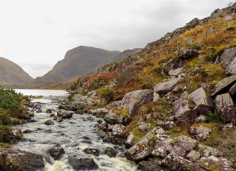 The area around Susie's Cottage