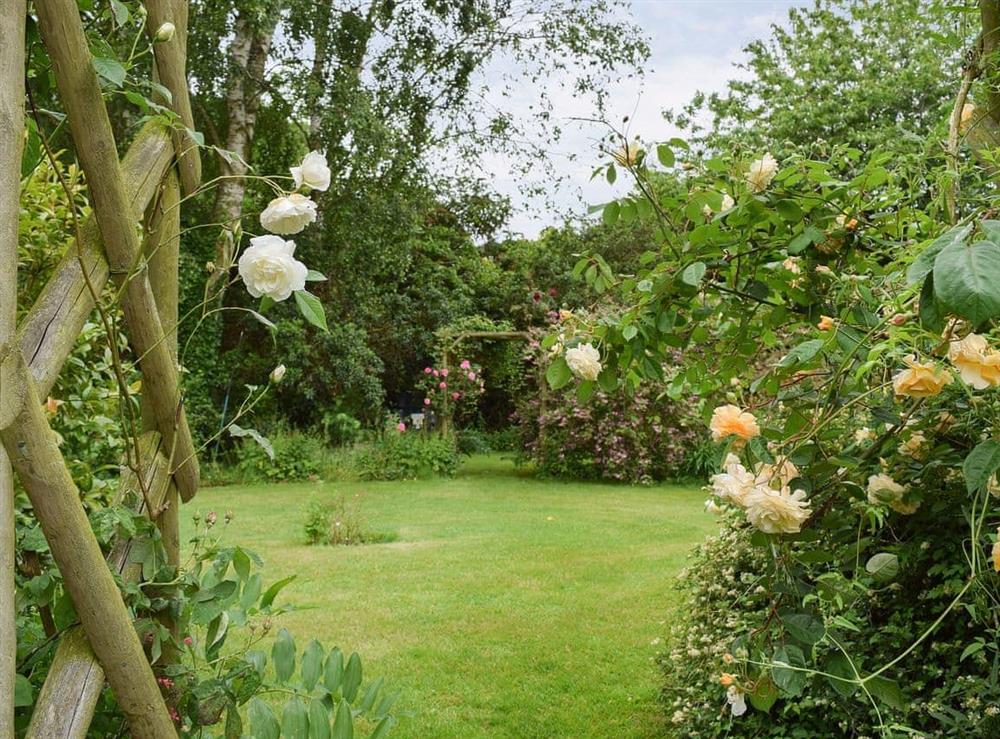 Well-established and well-tended garden at Swallow Barn in Warkworth, Banbury, Oxon., Oxfordshire