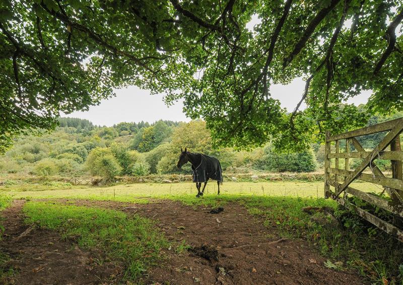 The setting around Swallow Cottage