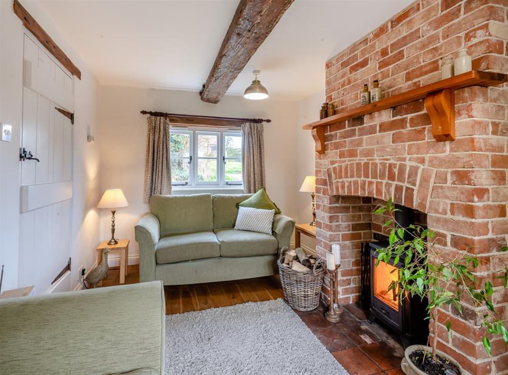 Living room at Swallow Cottages, No. 1 in Wickmere, Norfolk