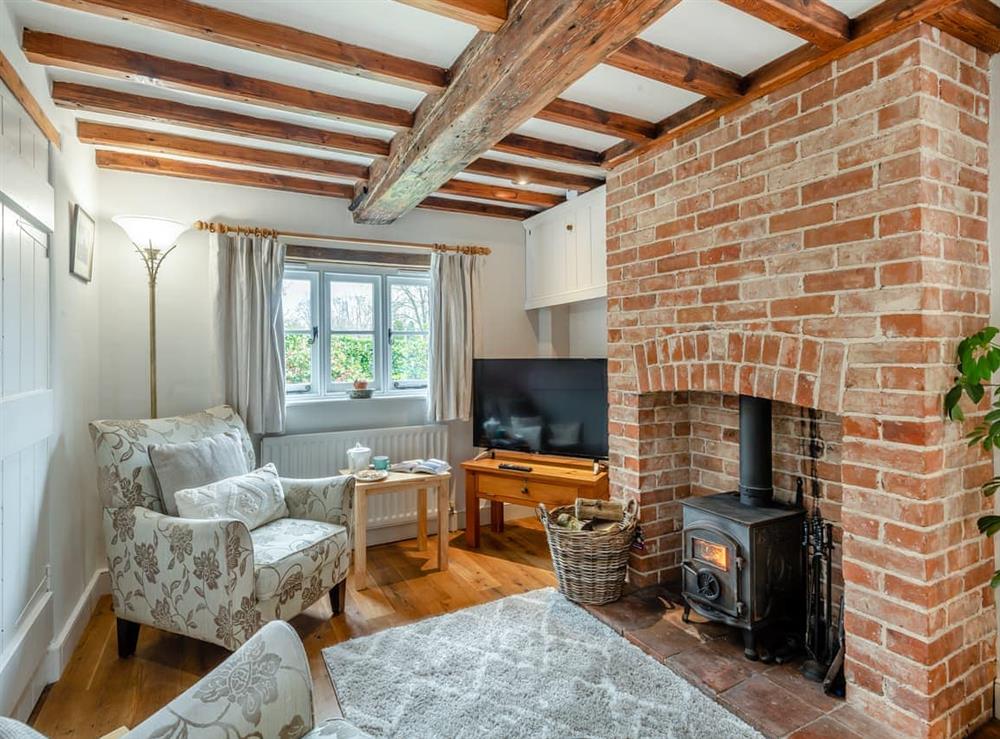 Living room at Swallow Cottages, No. 2 in Wickmere, Norfolk