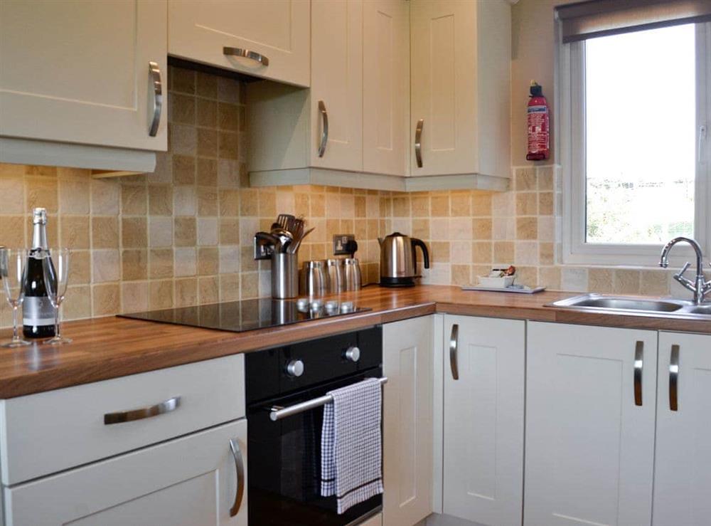 Kitchen at Swallow Lodge in Bardennoch West, near Carsphairn, Kirkcudbrightshire