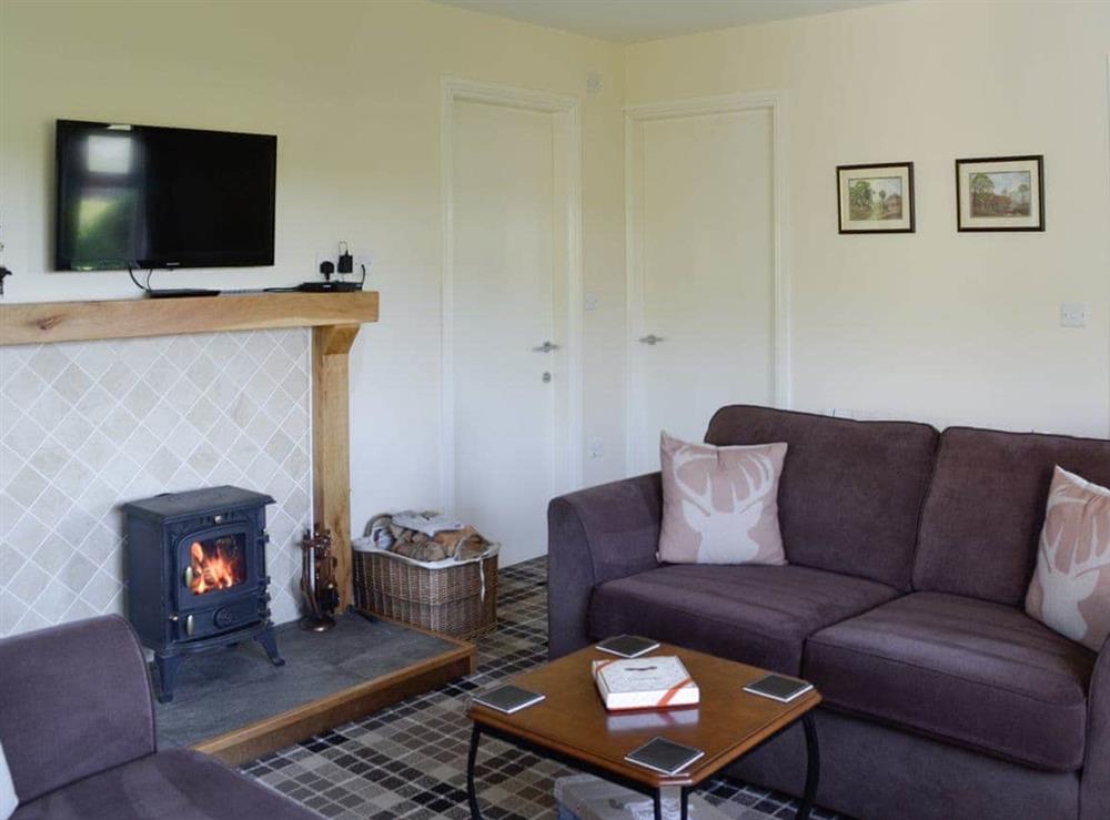 Living room at Swallow Lodge in Bardennoch West, near Carsphairn, Kirkcudbrightshire