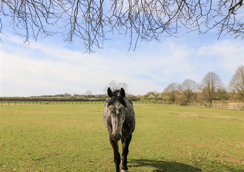 This is the garden at Swallow Studio, Andoversford near Cheltenham