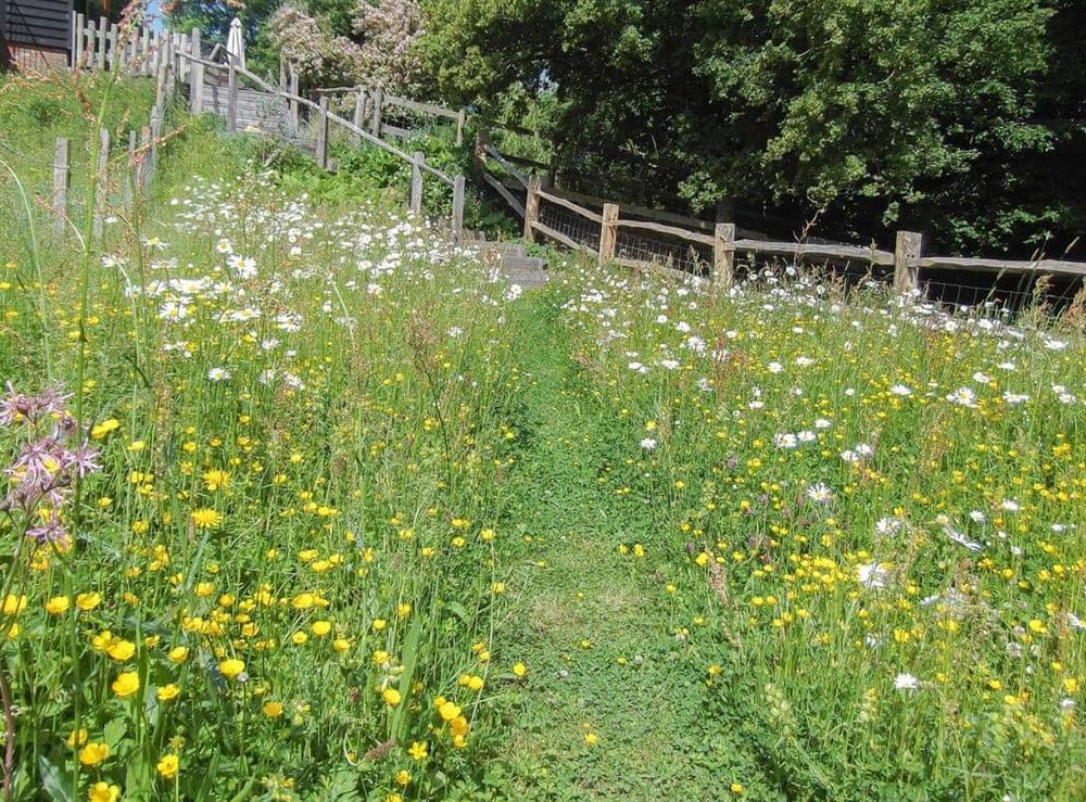 Pretty meadow criss-crossed by footpaths at Swallow’s Barn in Ashburnham, Battle, E. Sussex., East Sussex