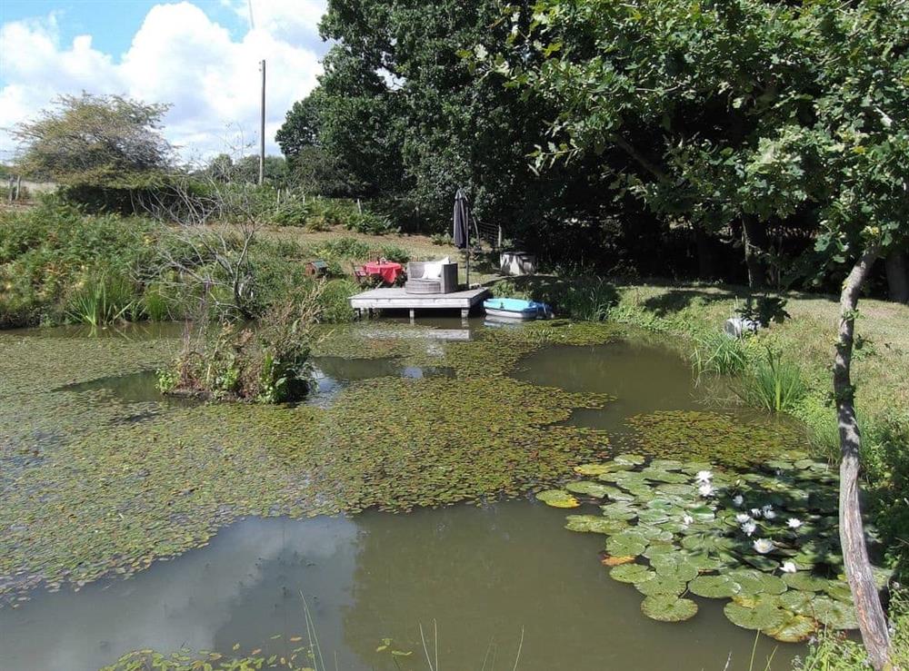 Well-established pond with jetty for alfresco dining