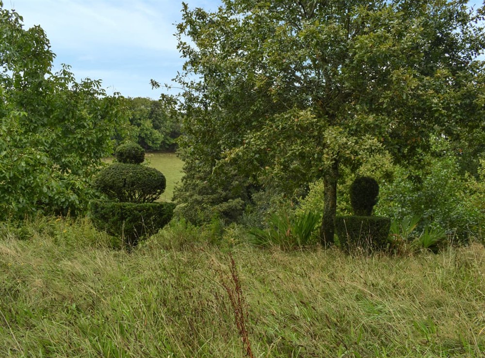 Outdoor (photo 5) at Swallows Barn in Liskeard, Cornwall