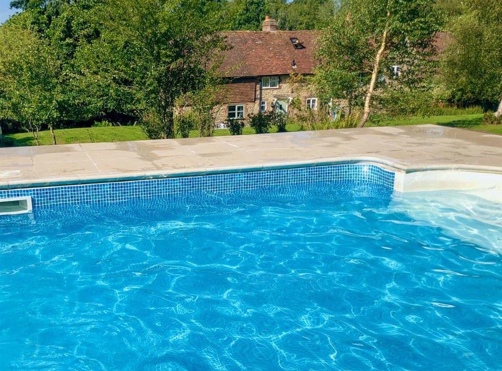 Outdoor heated swimming pool at Swallows Bottom in Redford, near Midhurst, West Sussex