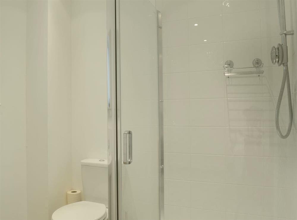 Convenient en-suite shower room at Swallows in Godstone, Surrey
