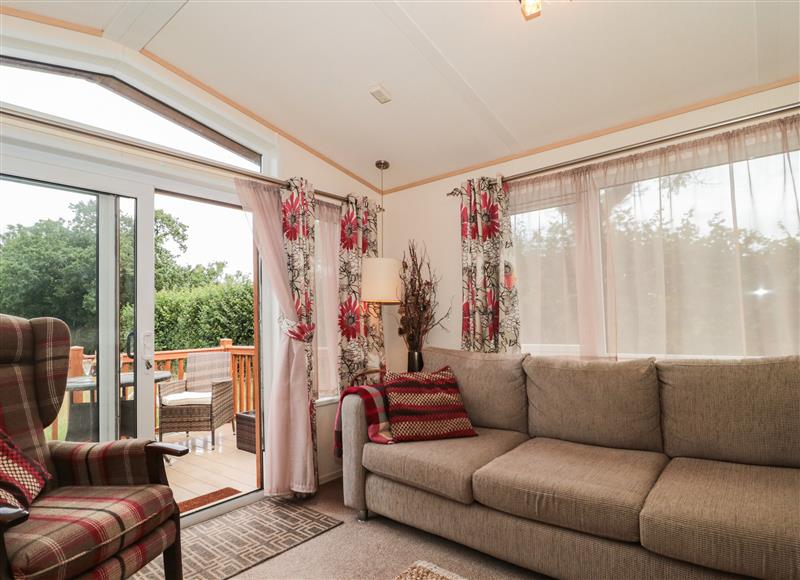 Enjoy the living room at Swallows Lodge, Cranmore