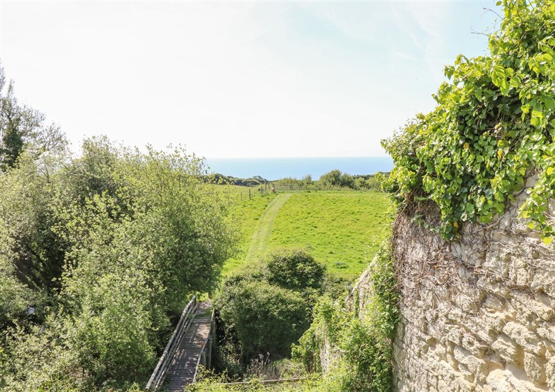 Rural landscape