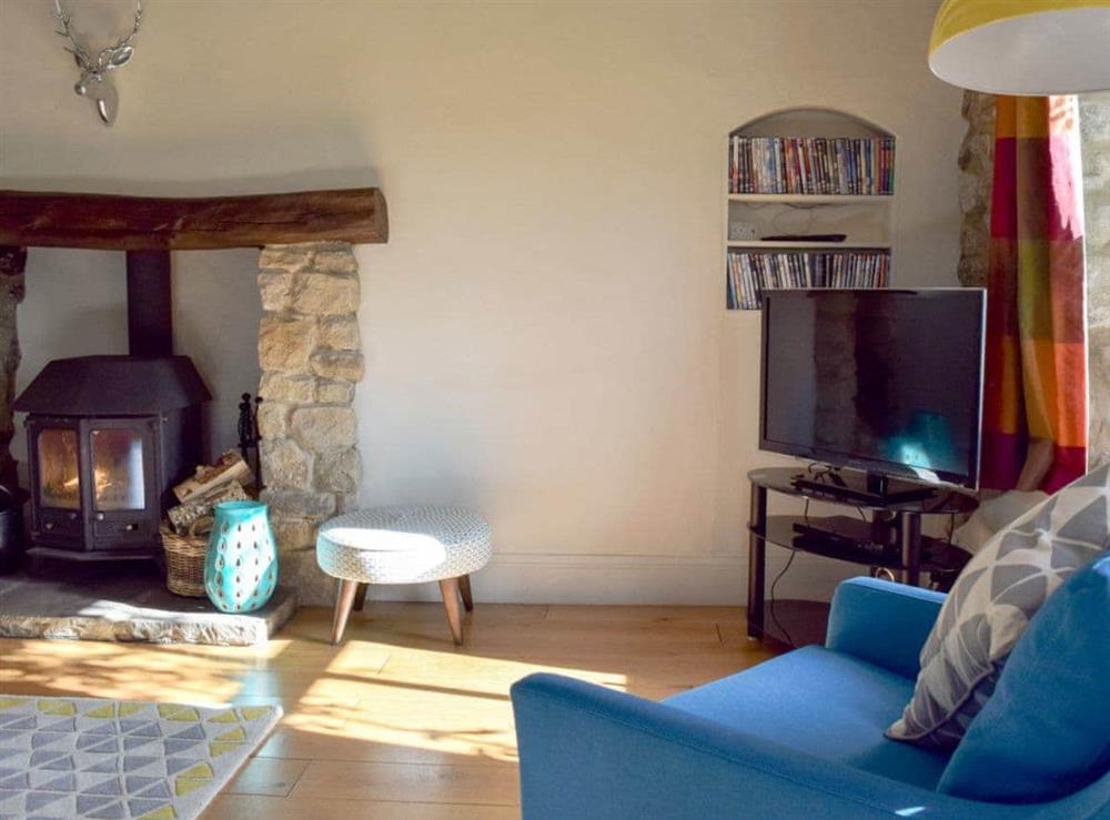 Cosy living room with wood-burner (photo 2) at Swallows Nest in Hebden, near Grassington, North Yorkshire