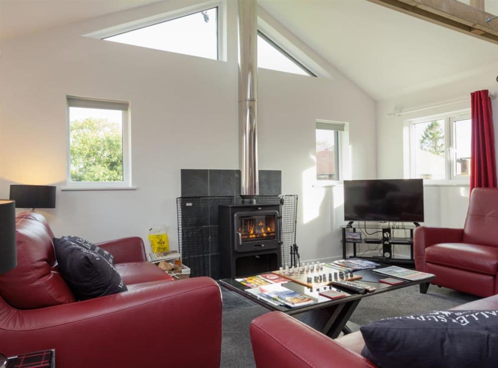 Relaxing lounge area with wood burner and Freeview TV at Swallows Nest in Wool, near Wareham, Dorset