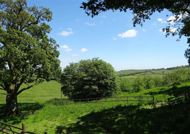 Rural landscape