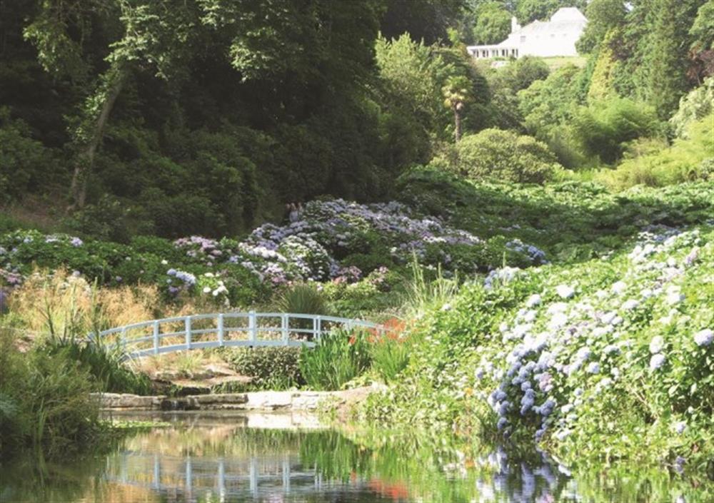 Trebah Garden at Swallows Retreat in Falmouth