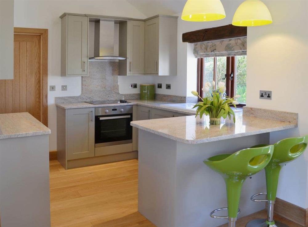 Open plan living/dining room/kitchen (photo 2) at Swallows Retreat in Hartland, Devon