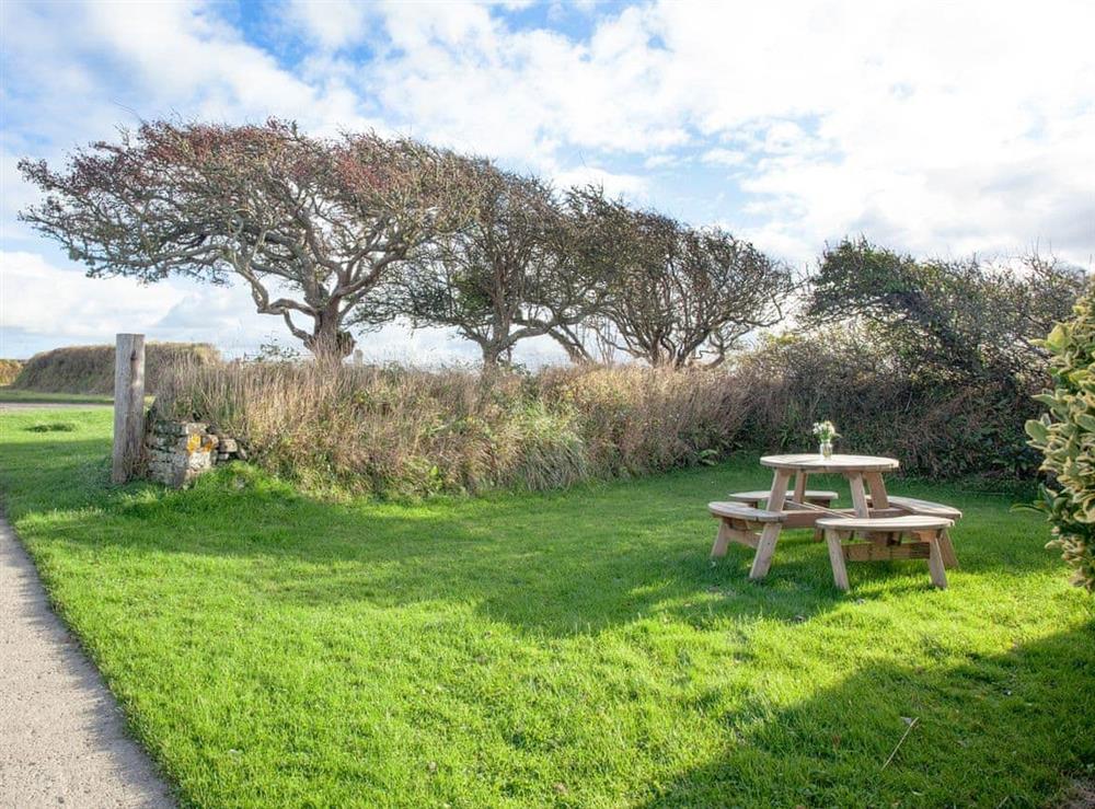 Garden at Swallows Swoop in Tresmorn, Bude, Cornwall., Great Britain