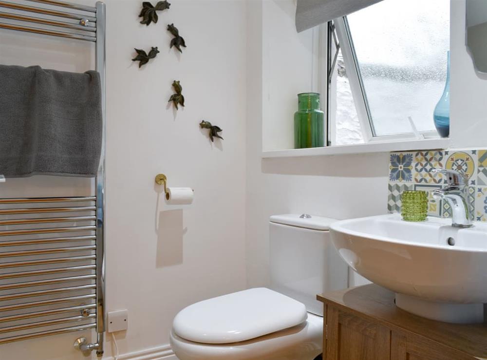 Shower room (photo 2) at Swan Cottage in Barnard Castle, Durham