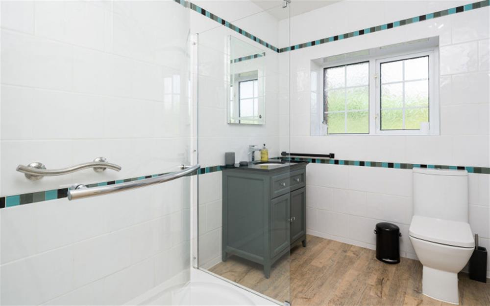 The master en suite shower room. at Swan Haven in Torcross