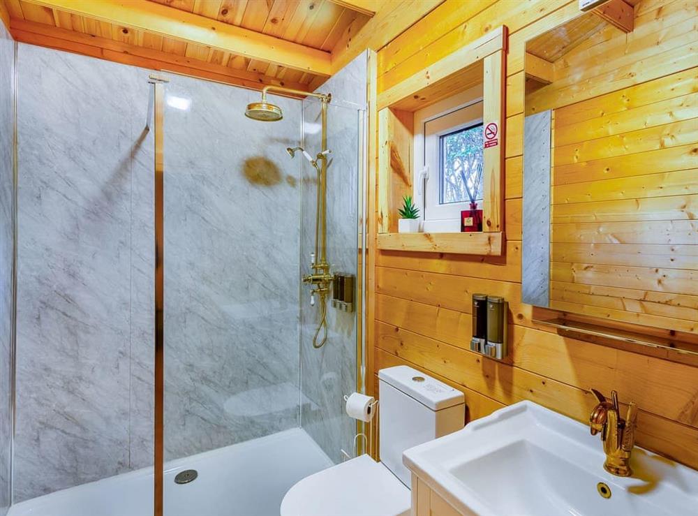 Shower room at Swan Lodge in Walkeringham, Nottinghamshire