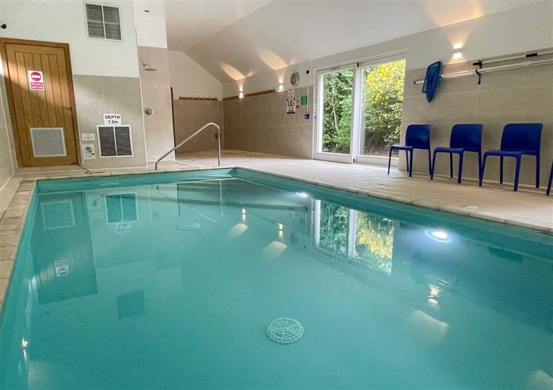 Spend some time in the pool at Swandown, 18 Netherhaye, Cricket St. Thomas near Chard