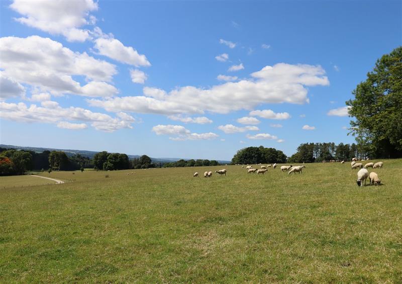 Rural landscape at Swandown, 9 Kittwhistle, Cricket St Thomas near Chard