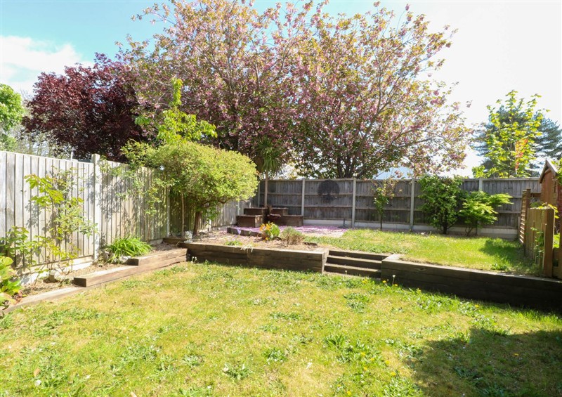 This is the garden at Sweetacres, Hemsby
