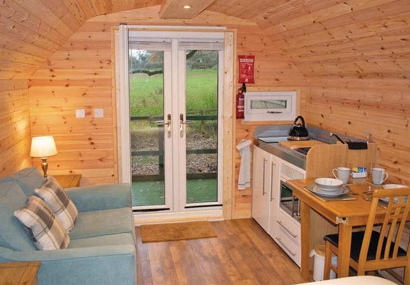The living area in the Eco Pod at Sweetings Wood Glamping in Brickendon, Hertfordshire