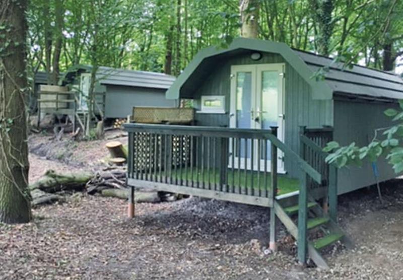 The park setting at Sweetings Wood Glamping in Brickendon, Hertfordshire