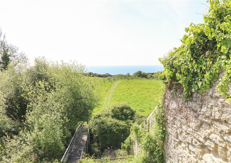 The setting around Swifts