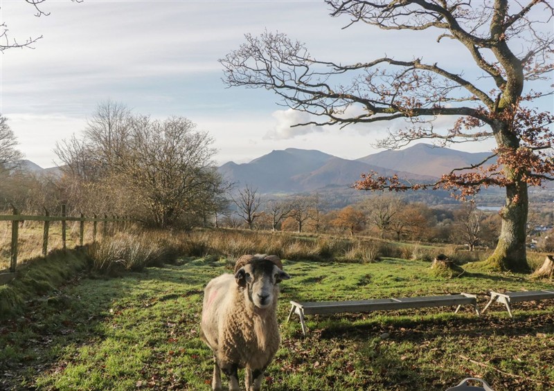 The garden at Swirl Howe, Keswick
