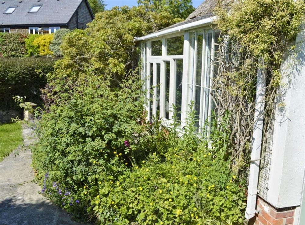 Peaceful garden at Swiss Cottage in Chideock, Nr Bridport, Dorset., Great Britain