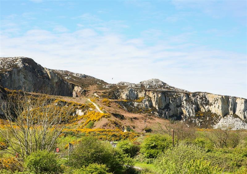 The setting around Swn Y Nant (photo 2) at Swn Y Nant, Holyhead