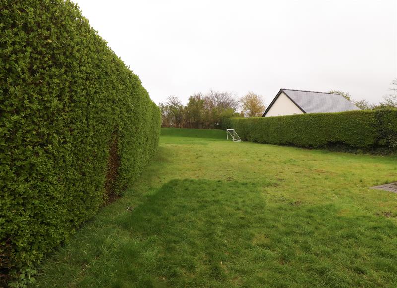 Rural landscape