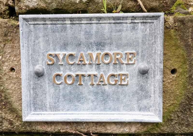 The garden at Sycamore Cottage, Ashbourne