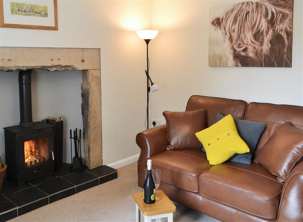 Cosy living room with wood burner (photo 2) at Sycamore Cottage in Barrasford, near Hexham, Northumberland