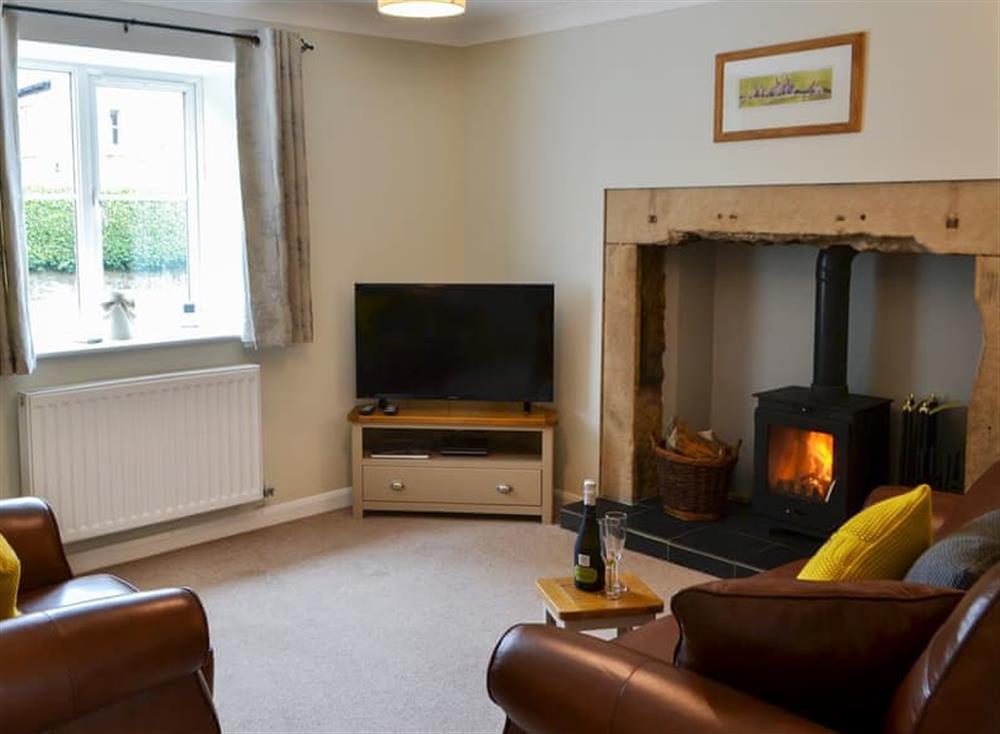 Cosy living room with wood burner at Sycamore Cottage in Barrasford, near Hexham, Northumberland