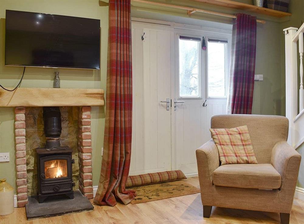 Warm, cosy wood burner at Sycamore Cottage in Consett, Durham