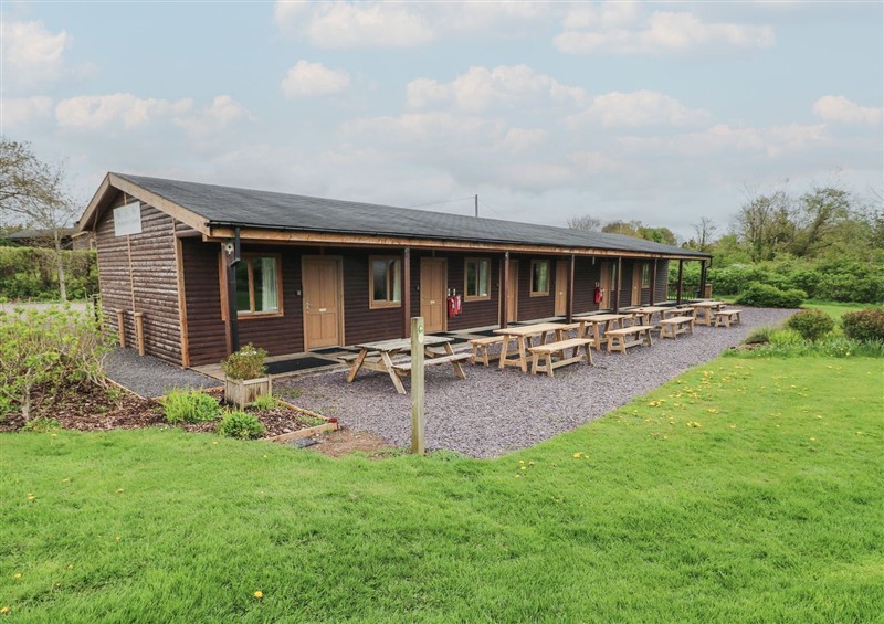The garden in Sycamore at Sycamore, Cowbridge
