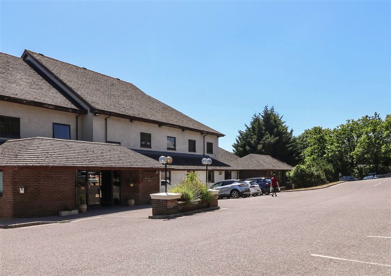The setting at Sycamore, Kingsteignton