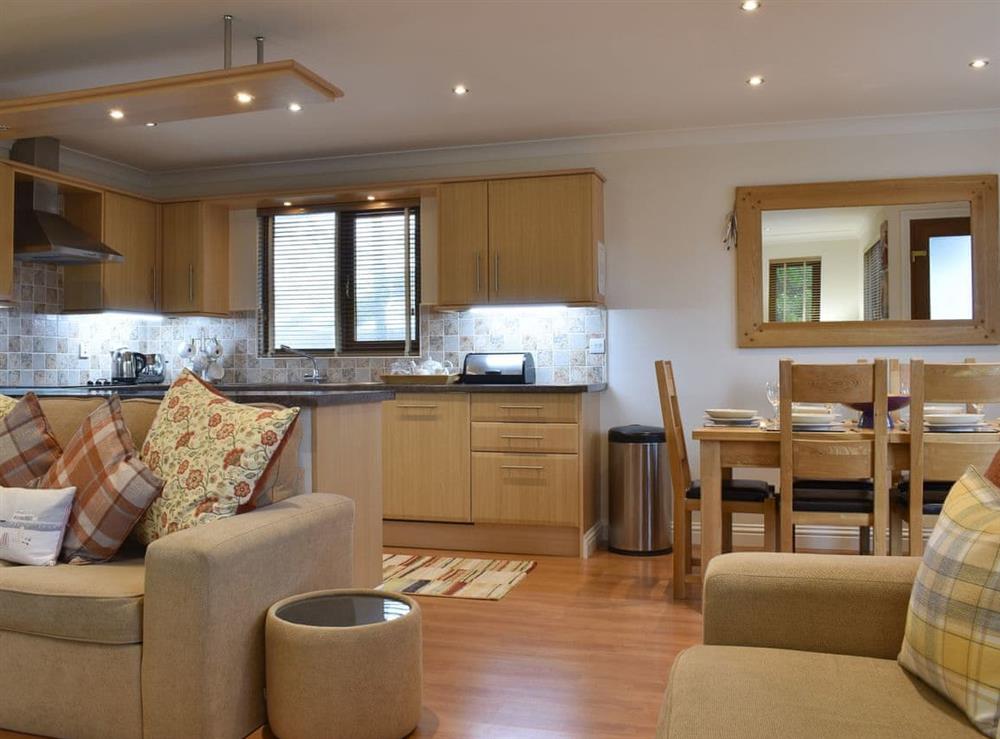 Open plan living space at Sycamore Lodge in Bridlington, North Humberside