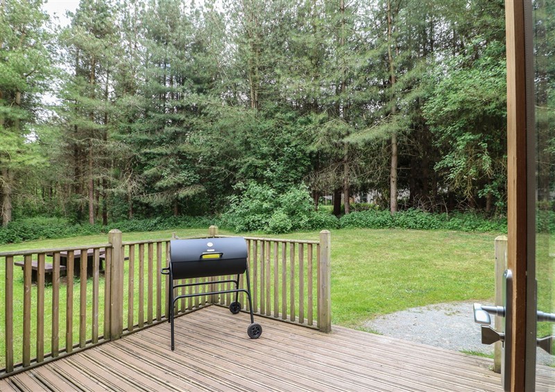 Enjoy the garden at Sycamore Lodge, Rosliston
