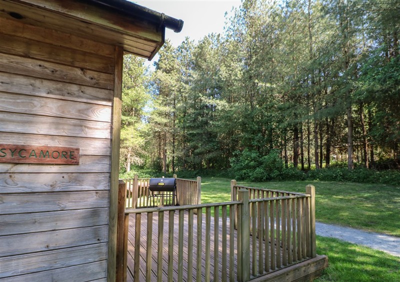 Outside at Sycamore Lodge, Rosliston