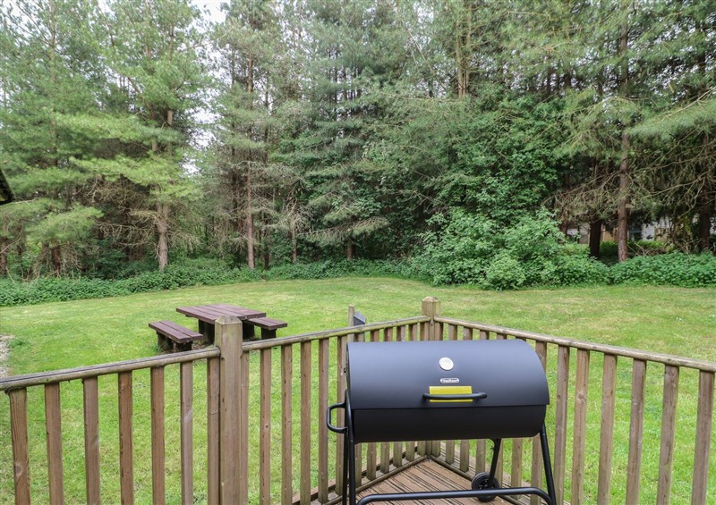 The garden in Sycamore Lodge at Sycamore Lodge, Rosliston