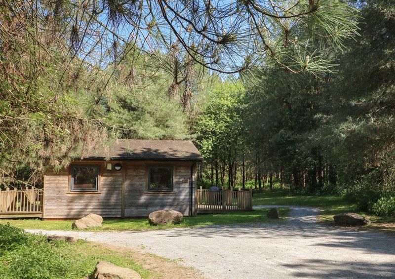 The setting of Sycamore Lodge at Sycamore Lodge, Rosliston