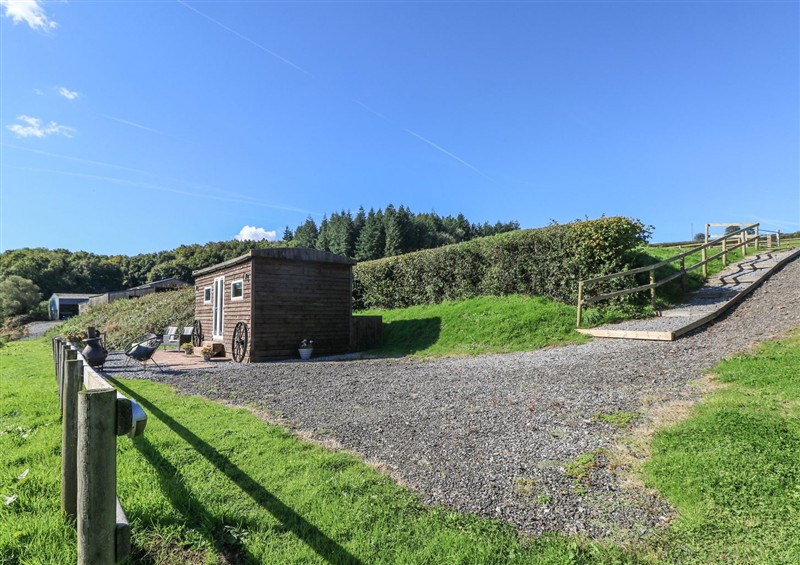 This is the garden at Sychnant Farm Retreat, Llanedi near Pontarddulais