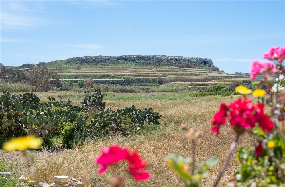 Ta Ddiegi Getaway