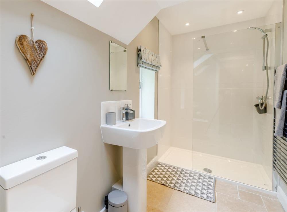 Shower room at Tadpole Cottage in Malpas, Cheshire